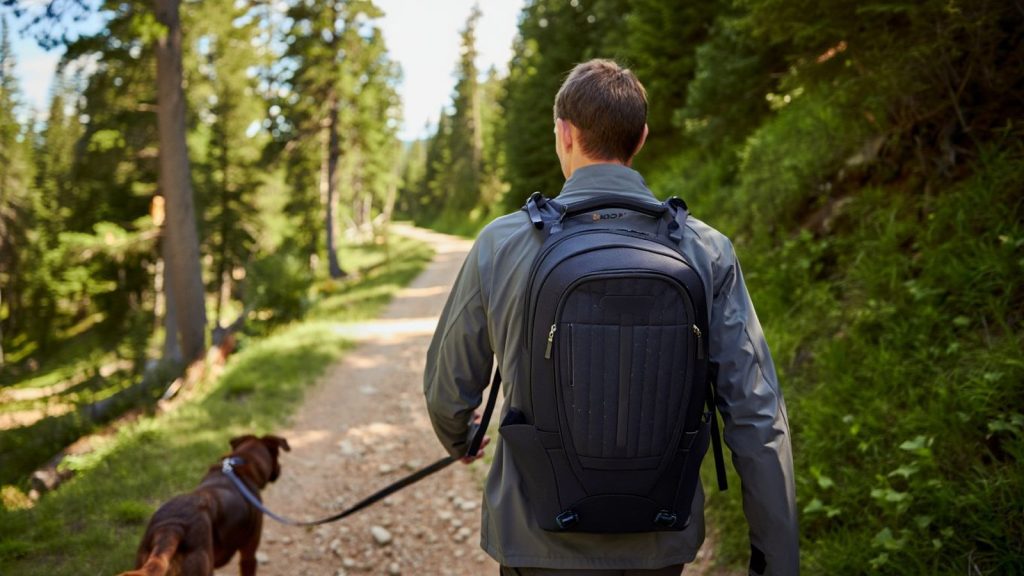Randonneur avec un chien tenu en longe sur un sentier de montagne accessible