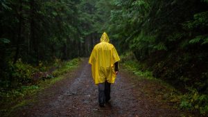 Marcheur adulte sous poncho de pluie uni sur sentier forestier sans texte ni logo