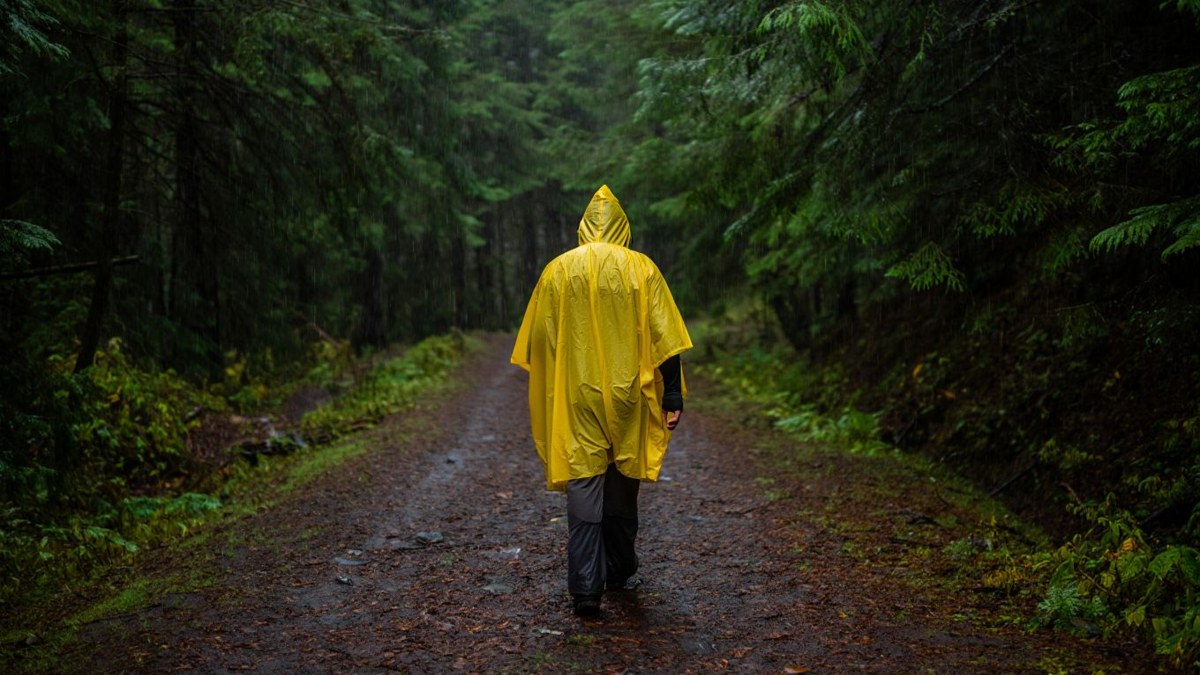 Marcheur adulte sous poncho de pluie uni sur sentier forestier sans texte ni logo